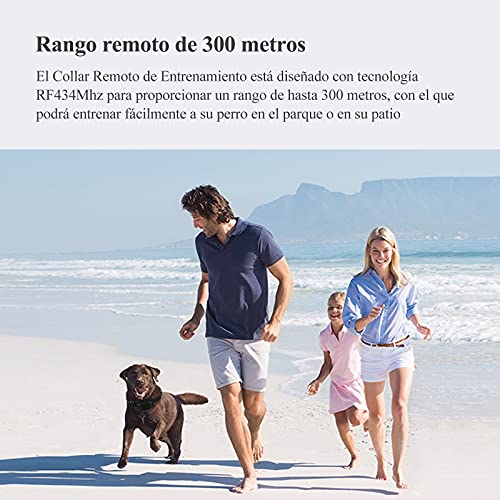 Beoankit Collar De Adiestramiento para Perros-Rango Remoto de 300 Metros-Recargable-Resistente Al Agua-Pitido De Alerta Y Modo De Vibración.