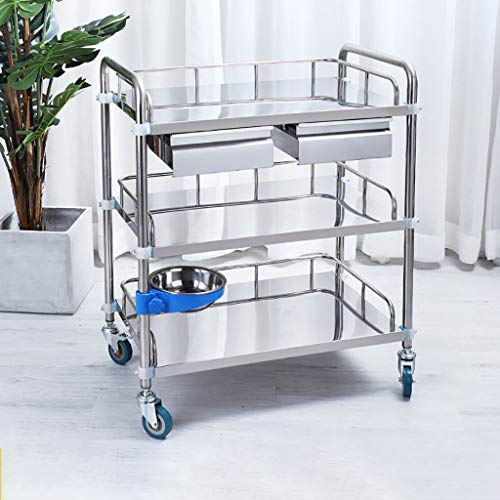 Carro médico Carro de Tratamiento Acero Inoxidable Mesa de Instrumental| Móvil 2/3-Shelf/Vehículo quirúrgico vehículo médico | Carro de Herramientas Salon de Belleza | Carga 150 Kg