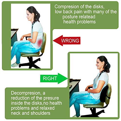 Cojín de espuma de memoria para el soporte lumbar, cojín de viaje transportable con funda de malla en 3D, protector ortopédico, negro, para masajear y aliviar el dolor, de Ergogo