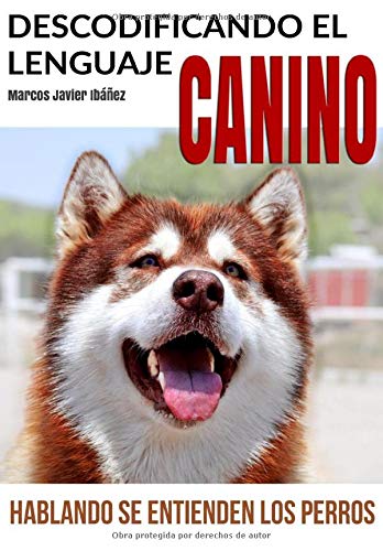 Descodificando el Lenguaje Canino: Hablando se entienden los Perros