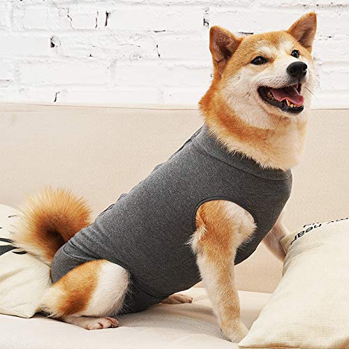 Dotoner Chaleco de recuperación para Perros y Gatos, Protector de heridas Abdominales, Ropa quirúrgica médica para Cachorros(Gris,L)