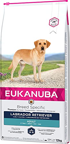 EUKANUBA Breed Specific Alimento seco para perros labrador retriever adultos, alimento para perros óptimamente adaptado a la raza 12 kg