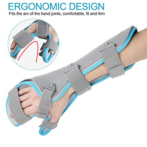 Férula de soporte de muñeca, túnel carpiano, soporte de brazo, férula de mano en reposo, inmovilizador nocturno, rehabilitación de atrofia muscular, para la mano, para tendinitis(Correcto)