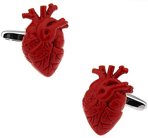 Gemelos anatómicos del corazón humano en una caja de presentación de lujo gratis. Novedad corazón medico medico tema joyeria