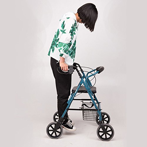 LIU UK Shopping trolley Multifunción Walking Aid Carro de Compras Ruedas Antideslizante Impermeable Plegable Conveniente para Las Personas Mayores, Carrito para Personas con discapacidad