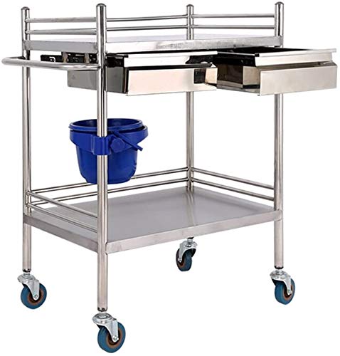 Lloow Trolleys Medical Carro Tratamiento Coche Acero Inoxidable Mesa de Instrumentos/Vehículo médico Vehículo quirúrgico/Vehículo Cambiando Instrumental Auto/Doble Beauty Car,66 * 44cm