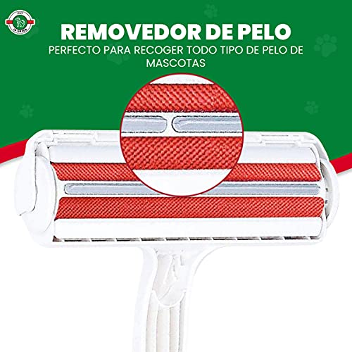 PET IN GREEN Quita Pelos Mascota Rodillo | Cepillo de Limpieza Removedor de Pelaje para Gatos y Perros, Lavable Y Reutilizable Animales Cepillos Depilación, para Alfombras, Muebles, Ropa y Sofá
