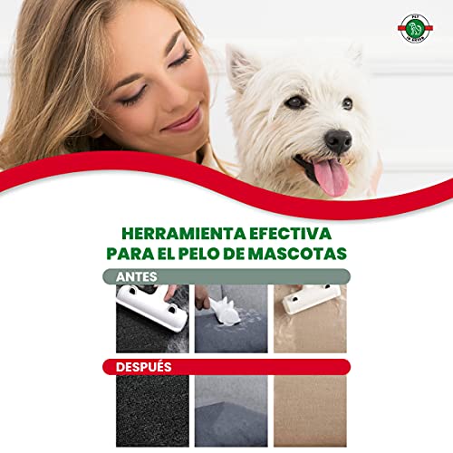 PET IN GREEN Quita Pelos Mascota Rodillo | Cepillo de Limpieza Removedor de Pelaje para Gatos y Perros, Lavable Y Reutilizable Animales Cepillos Depilación, para Alfombras, Muebles, Ropa y Sofá