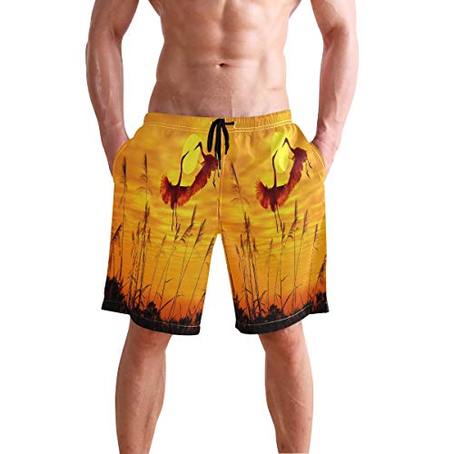 Puesta De Sol Japonesa Grúa Pájaro Bañador para Hombre Pantalones Cortos Bañadores Shorts para Hombres Natacion Piscina Surf Playa