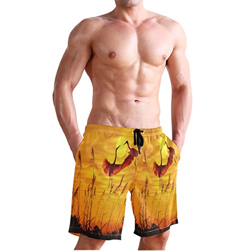 Puesta De Sol Japonesa Grúa Pájaro Bañador para Hombre Pantalones Cortos Bañadores Shorts para Hombres Natacion Piscina Surf Playa