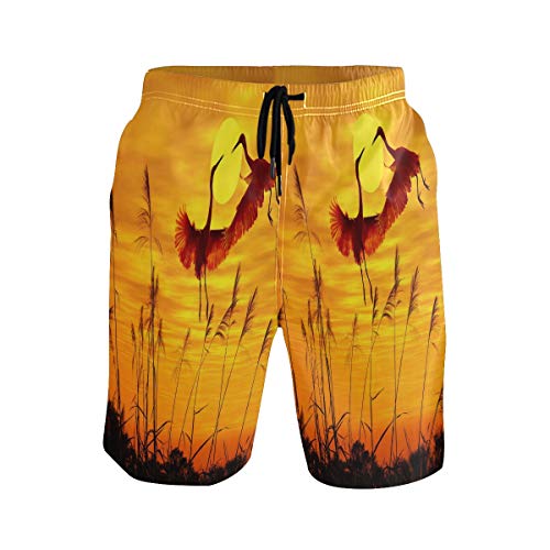 Puesta De Sol Japonesa Grúa Pájaro Bañador para Hombre Pantalones Cortos Bañadores Shorts para Hombres Natacion Piscina Surf Playa