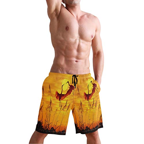 Puesta De Sol Japonesa Grúa Pájaro Bañador para Hombre Pantalones Cortos Bañadores Shorts para Hombres Natacion Piscina Surf Playa