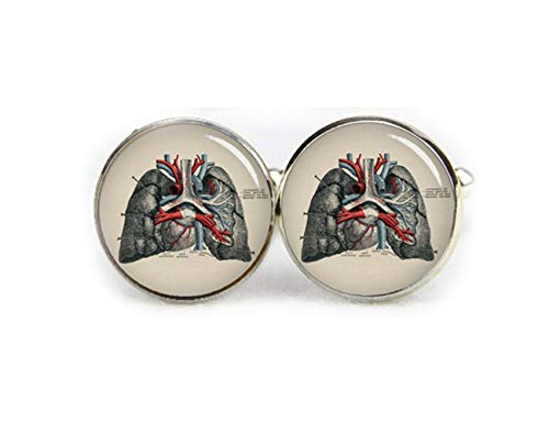 Pulmón anatomía Anatomía Gemelos, Gemelos, Gemelos de médico