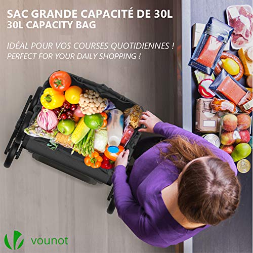 VOUNOT Carro de la Compra con 6 Ruedas para Subir Escaleras, Carrito de la Compra Plegable, Bolsa Impermeable de 32 L, Gris