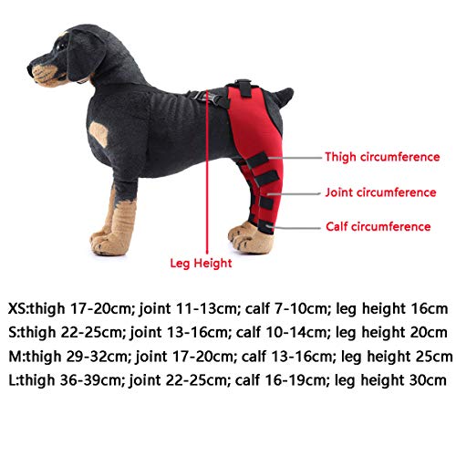 1 Par De Aparatos Ortopédicos Para Las Patas Traseras Del Perro Y Mangas De Soporte,Vendaje De La Articulación De La Ortesis De La Pata Trasera Del Perro,Ayuda Para Caminar Posoperatoria Para Perros