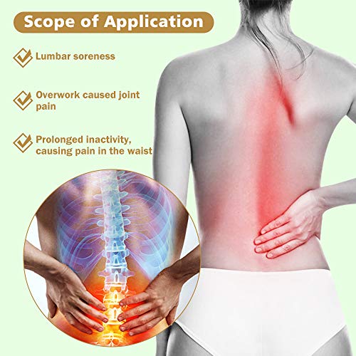 12 Pegatinas Parche para Aliviar El Dolor, Parche Autocalentable, Parche Lumbar Autocalentables de Ajenjo Natural, para Aliviar El Dolor De Espalda Dolor De Cuello Dolor De Hombro