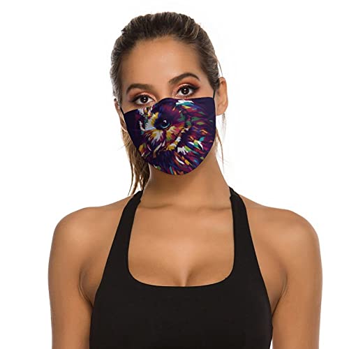 3 mascarillas de cabeza de búho con 6 filtros ajustables unisex transpirable máscara de tela reutilizable