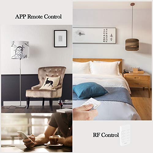 4CH Pro R3 Interruptor Inteligente WiFi Smart Switch Inalámbrico Conmutador con Autobloqueo/Enclavamiento/Intermitente (0,5-3600s) para Amazon Alexa, Google Assistant, Nest, IFTTT + Elettroscopio