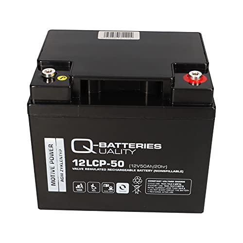 AGM - Batería de plomo (2 unidades, 12 V, 50 Ah, compatible con MP50-12C, REC50-12I, WP50-12NE