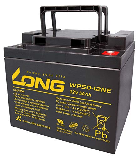 AGM WP50-12NE - Batería de plomo (12 V, 50 Ah)