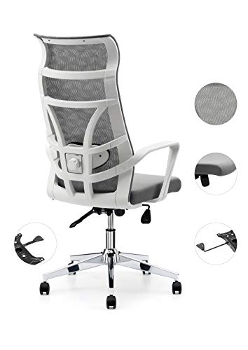 Allguest Silla de Oficina ergonómica con Malla Transpirable, Soporte Lumbar Ajustable, Respaldo Alto, cojín de Esponja, inclinación controlable hacia atrás Certificación EN1335, Blanco