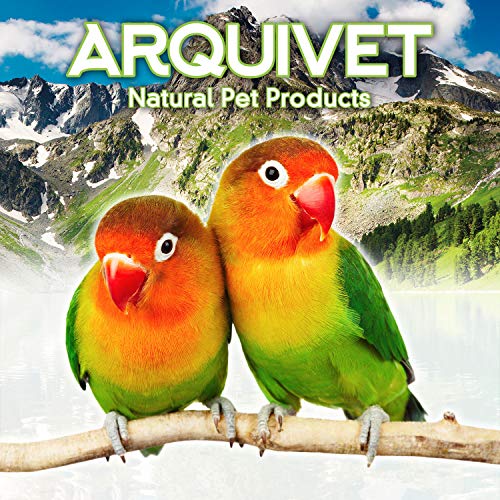 ARQUIVET Columpio de Metal y Madera para pájaros 20,5 cm- Juguetes pájaros - Accesorios de Jaula para pájaros - Columpio para Loros, periquitos, agapornis - Complementos Jaula Aves