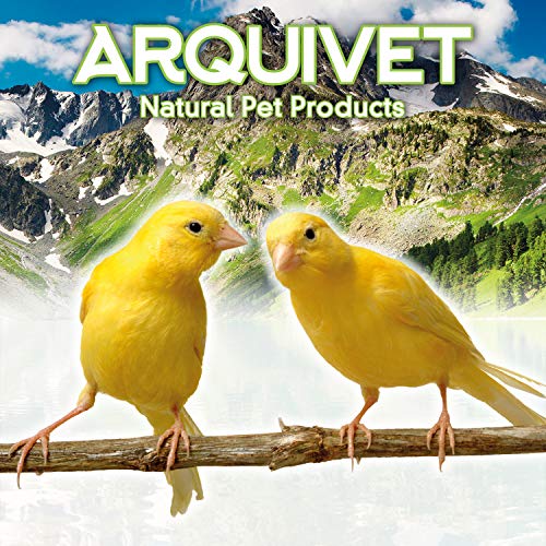 ARQUIVET Columpio de Metal y Madera para pájaros 20,5 cm- Juguetes pájaros - Accesorios de Jaula para pájaros - Columpio para Loros, periquitos, agapornis - Complementos Jaula Aves