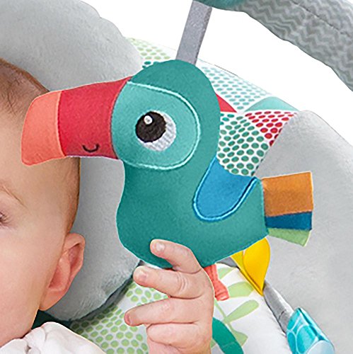 Bright Starts, Hamaca Toucan Tango