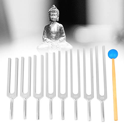 BTER Juego de diapasones, 8 Piezas 256~512Hz Aleación de Aluminio Relajación Profunda Física Diapasones Juego de Caja de Madera, Diseño ergonómico Diapasones Plateados para masajes curativos