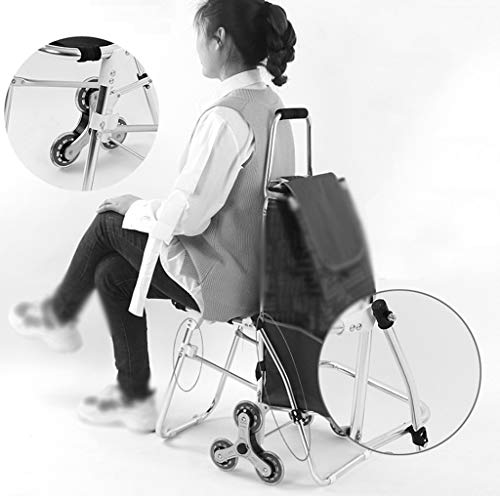 Carrito Compras Carrito De Compras con Silla, Carrito Multitarea Que Puede Subir Escaleras para Comprar Alimentos, Carrito De Compras Plegable para El Hogar, Que Puede Soportar 45 Kg