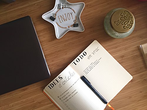 Clairefontaine 118775C – Un cuaderno RHODIARAMA Goalbook reborde rígido 14, 8 x 21 cm, 240 páginas de puntos pequeños (DOT), papel marfil numerado 90 g, cierre elástico y portabolígrafos, tapa beige