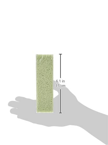 Cleaning Block 10008EI blocs pour nettoyage WC Lot de 4
