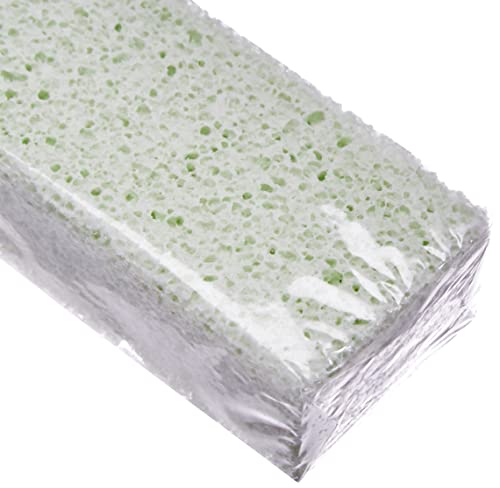 Cleaning Block 10008EI blocs pour nettoyage WC Lot de 4