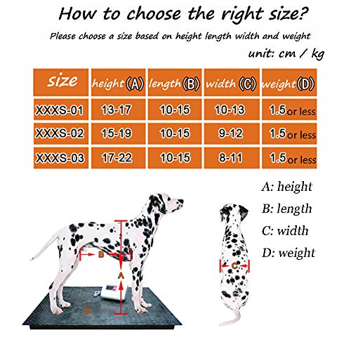 Cochecito para Perros, Carro para Patas Traseras, Silla De Ruedas para Mascotas para Patas Traseras, Reparación Postoperatoria para Gatos Discapacitados Conejos Paralizados Animales Discapacitados