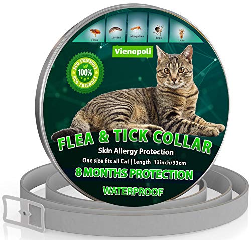 Collar antipulgas y garrapatas para Gatos, resistente al aqua, protección activa de hasta 8 Meses, 33 centimetros, para qualquier tamaño de gato
