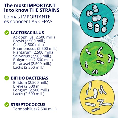 DUAFLORA Prebioticos y Probioticos Intestinales 30 Capsulas - Fortalecen Tus Defensas y la Flora Intestinal - 14 Cepas Lactobacilos y Bifidobacterias - Sin Gluten - Sin Lactosa - Apto Diabeticos - Capsulas 1 mes