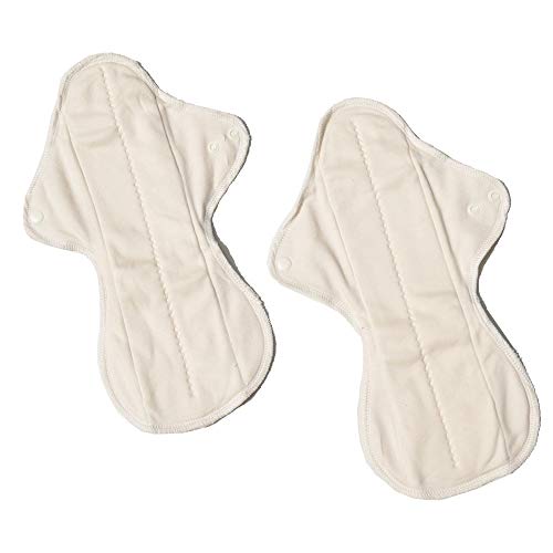 Ecofit Compresas Ecofit Maxi/Noche 2 Unds 350 g