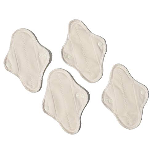 Ecofit Compresas Ecofit Mini 4 Unds 400 g