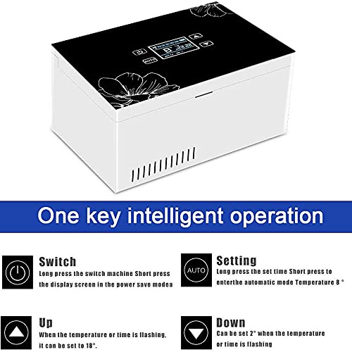 Enfriador de insulina portátil, caja refrigerada, pantalla LCD, caja refrigerada, vitrina LCD, refrigerador pequeño para coche