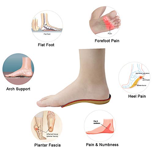 EVERHEALTH Plantillas Ortopédicas de Soporte de Arco Alto de 3/4 de Longitud para Fascitis Plantar/Pies Planos/Sobrepronación, Inserciones Ortopédicas para Hombre y Mujer