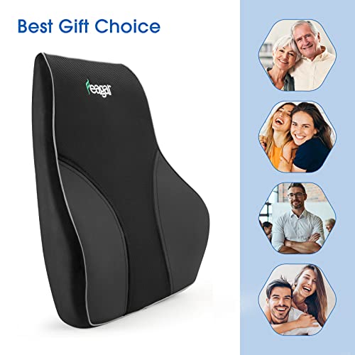 Feagar Repaldo Lumbar para Silla Oficina,Cojin Lumbar Coche,Almohada Lumbar, Soporte Lumbar para Conductor, PU & Terciopelo