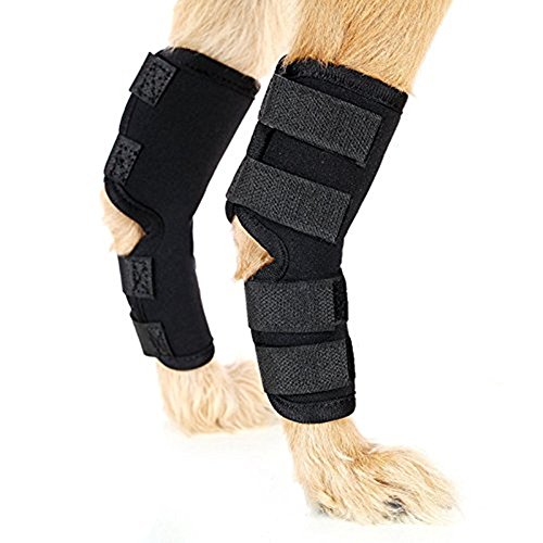 Férula para corvejón depata trasera de perro, protege las heridas, ayuda a sanar y sirve de soporte para esguinces causados(1 par)