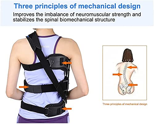 Fhdisfnsk Extensión postural Enderezadora de Espalda Brace Escoliosis Corrector de Postura Ortesis Auxiliar espinal Ajustable para la recuperación postoperatoria de Espalda Hombres y Mujeres.