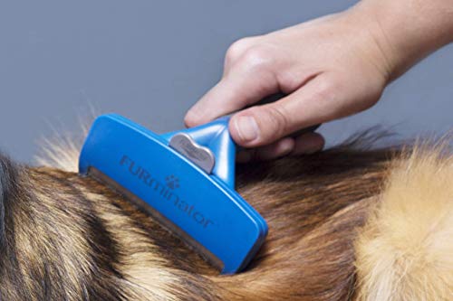FURminator Undercoat deShedding - Cepillo para perros grandes de pelo largo