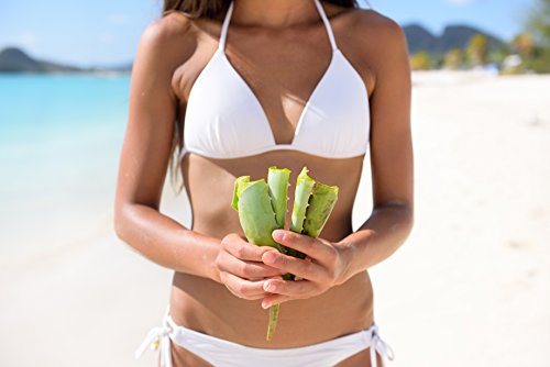 Gel de Aloe Vera 100% Natural. Procedente de Canarias. Hidratante rostro y cuerpo. Acondicionador Depilación Afeitado. Dosificador