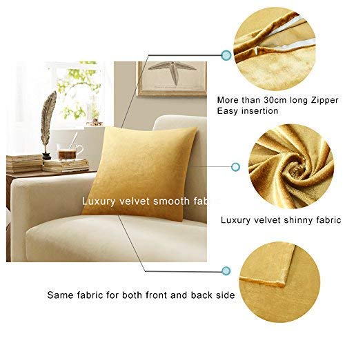 Gigizaza Oro De Lujo Terciopelo Almohadon Cubre Caso, Rayas Acento Confortable Funda de Cojin, Mejor Decoración Square Sham Fundas de Almohada para Sofá Sofá Cama Casa Decor 50x50cm Juego de Dos