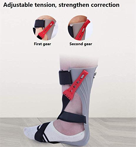 GJZXXL Pie Dorot Orthosis Tobillo Pie De La Caída Postural Corrección Postural Ortesis Fértica Hoja Hoja Recuperación Postura Corrector Tobillo Resorte Cepa Artritis Aquiles Dolor