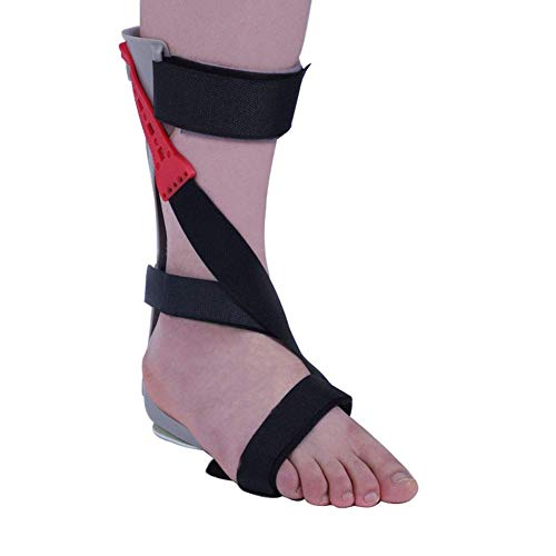 GJZXXL Pie Dorot Orthosis Tobillo Pie De La Caída Postural Corrección Postural Ortesis Fértica Hoja Hoja Recuperación Postura Corrector Tobillo Resorte Cepa Artritis Aquiles Dolor