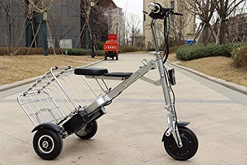 GYYSDY 3 Ruedas Moto Motorizado Eléctrico Bicicleta Plegable Bicicleta Eléctrica 250w Triciclo Eléctrico Adecuado para Viajes Al Aire Libre Ancianos Eléctricos Scooter Móvil