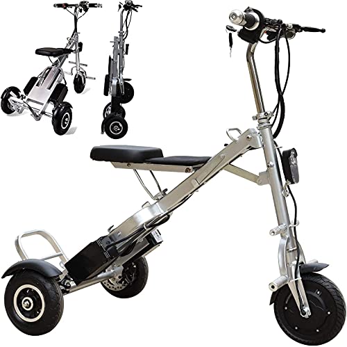 GYYSDY 3 Ruedas Moto Motorizado Eléctrico Bicicleta Plegable Bicicleta Eléctrica 250w Triciclo Eléctrico Adecuado para Viajes Al Aire Libre Ancianos Eléctricos Scooter Móvil